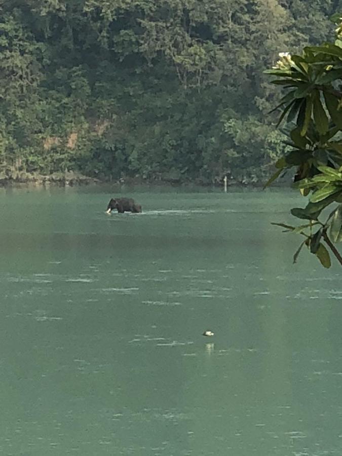 Ganga Forest View Rishīkesh Buitenkant foto